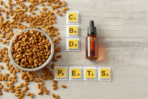 The Benefits Of Using CBD Oil For Dogs In Australia
